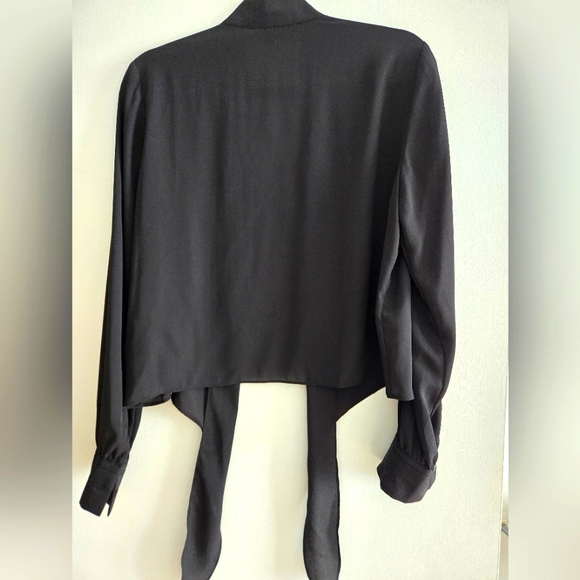 Cropped long sleeve v neck tie waist sheer blouse - Picture 2 of 2
